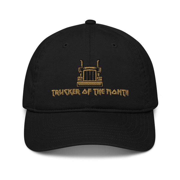TITS TOTM Dad Hat product image (1)
