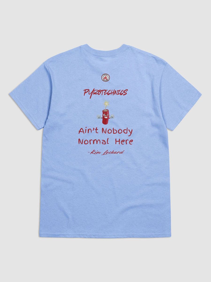 Ain't Nobody Normal T-shirt product image (9)