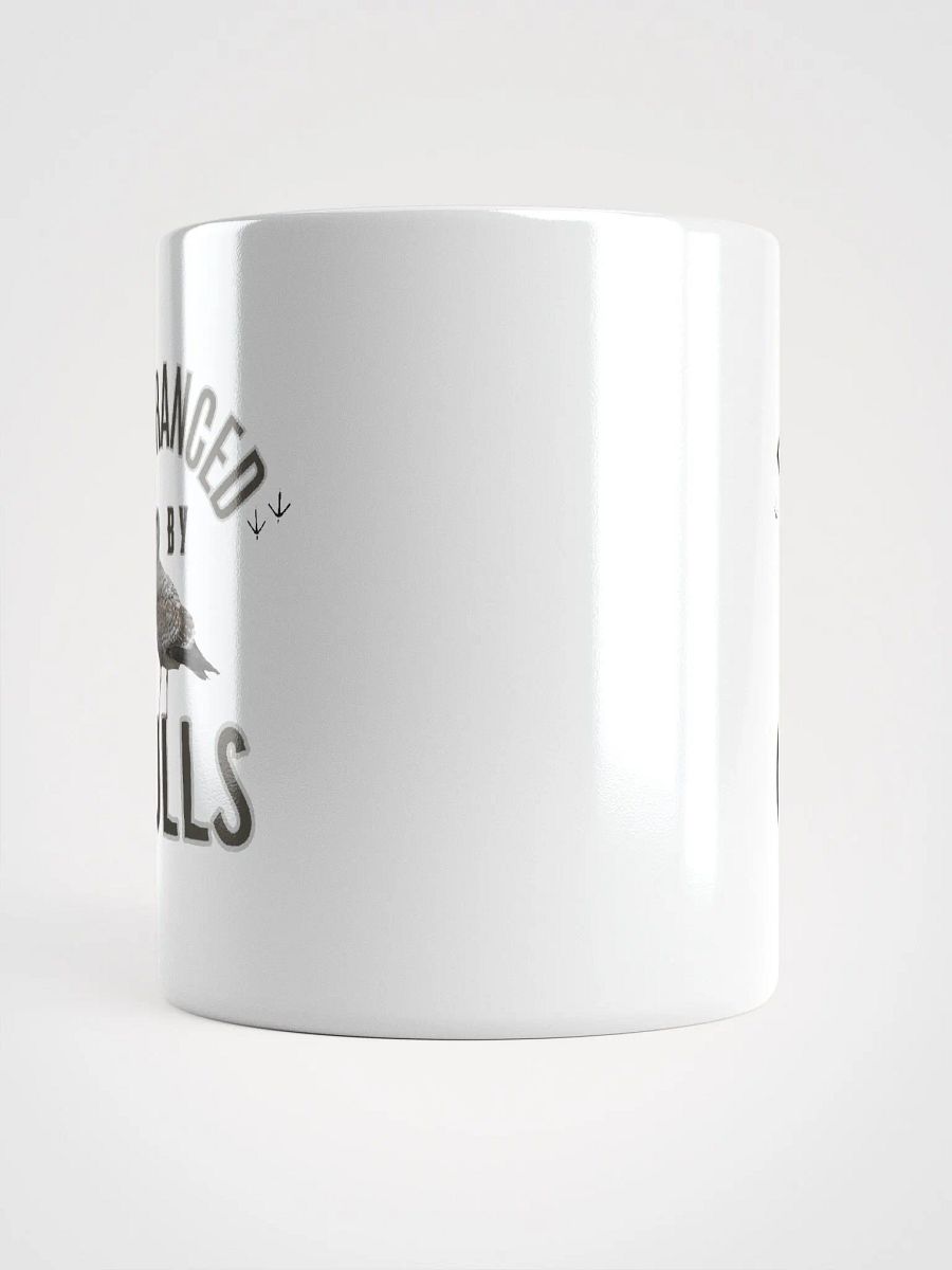 Entrance by Gulls Glossy White Mug product image (9)