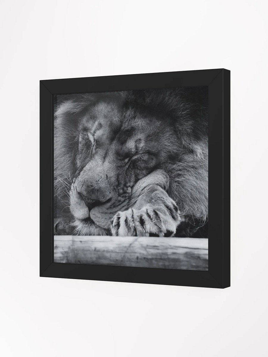 The Sleeping King product image (14)