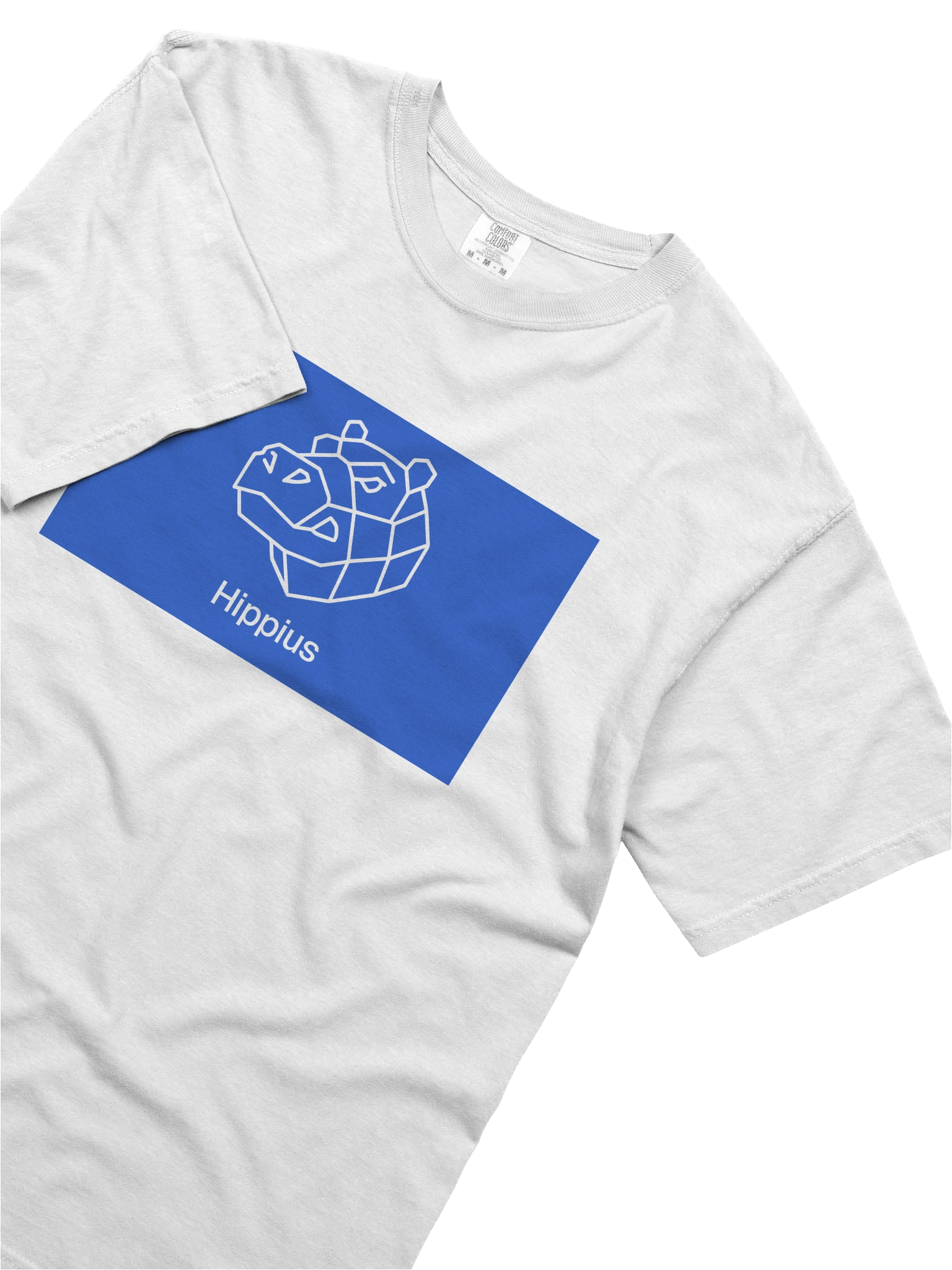 SN75 - Heavyweight T-Shirt product image (5)