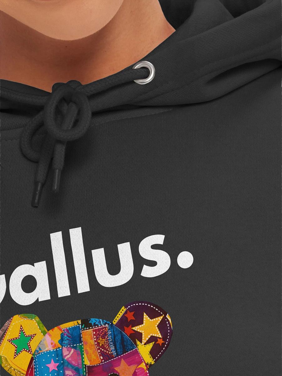 Gallus Hoodies product image (7)
