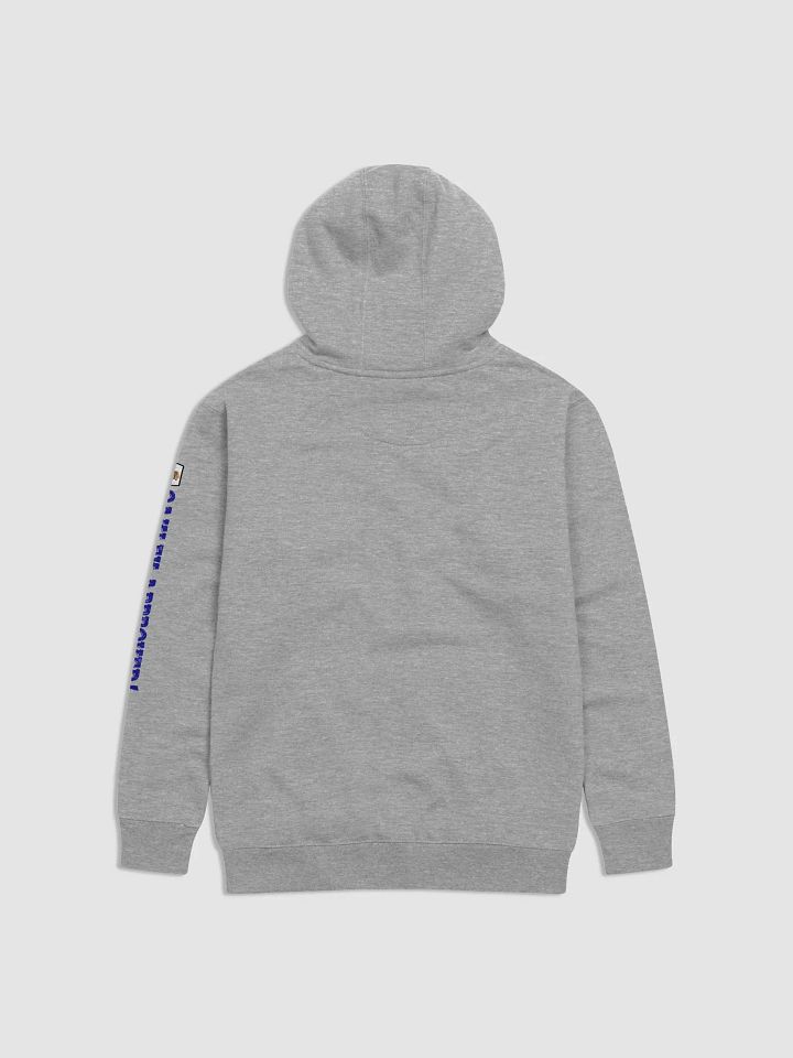 Affordable Hoodie- Logo Front & Sleeve product image (2)