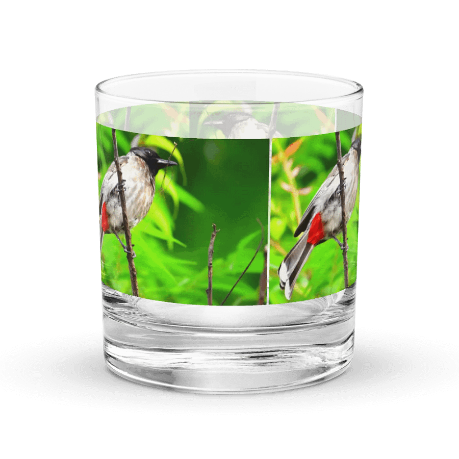 IUCAA Birds GLASS product image (3)