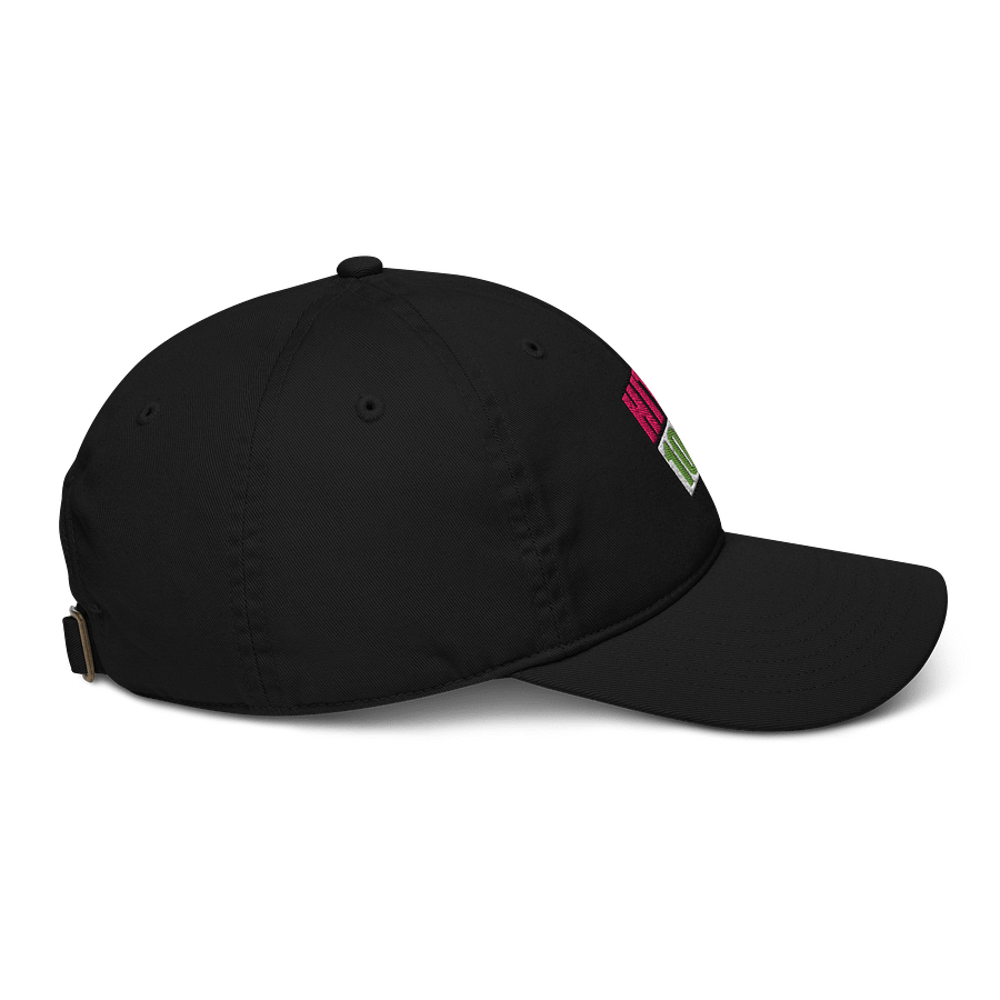 Hits Organic Dad Hat product image (5)