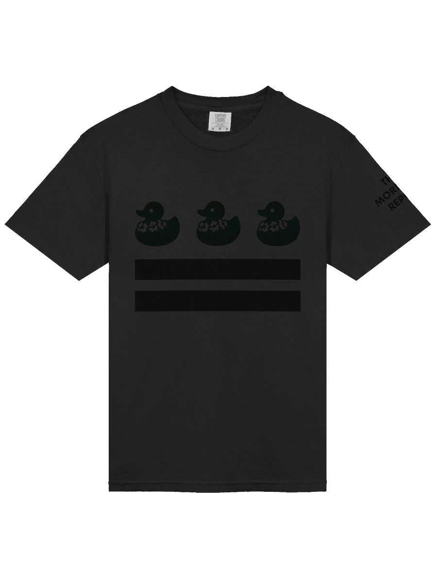 Aloha Duck DC Flag product image (32)