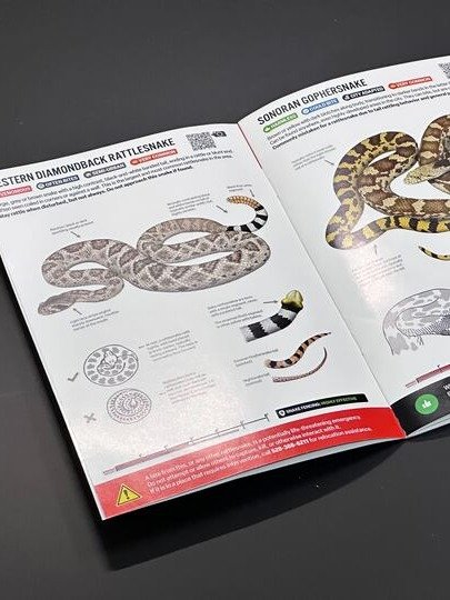 Snakes of Tucson – Snake ID & Info For Everyone From Hikers To Homeowners product image (3)