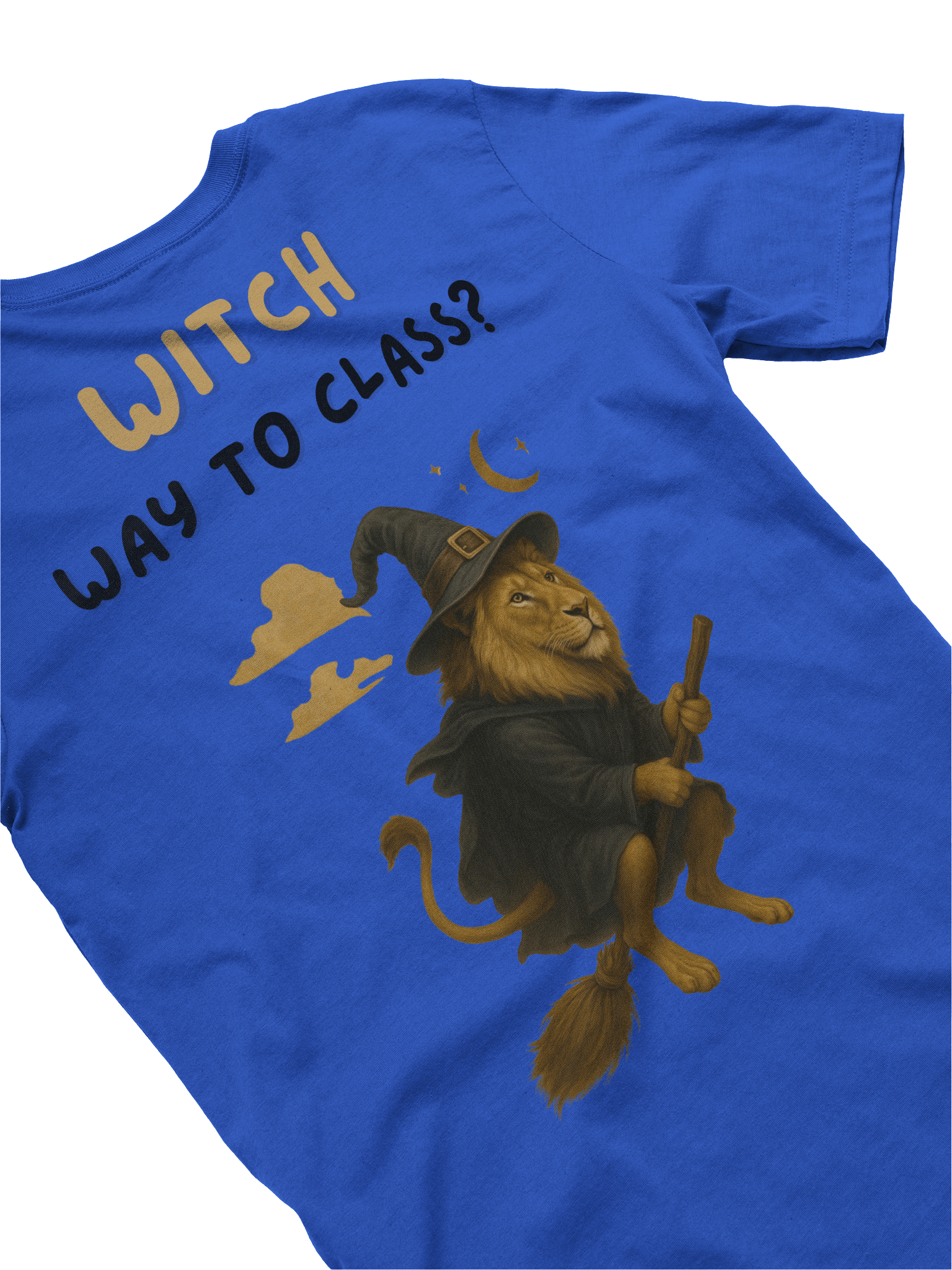 “Which Way to Class?” – Halloween Lion Witch Tee product image (18)