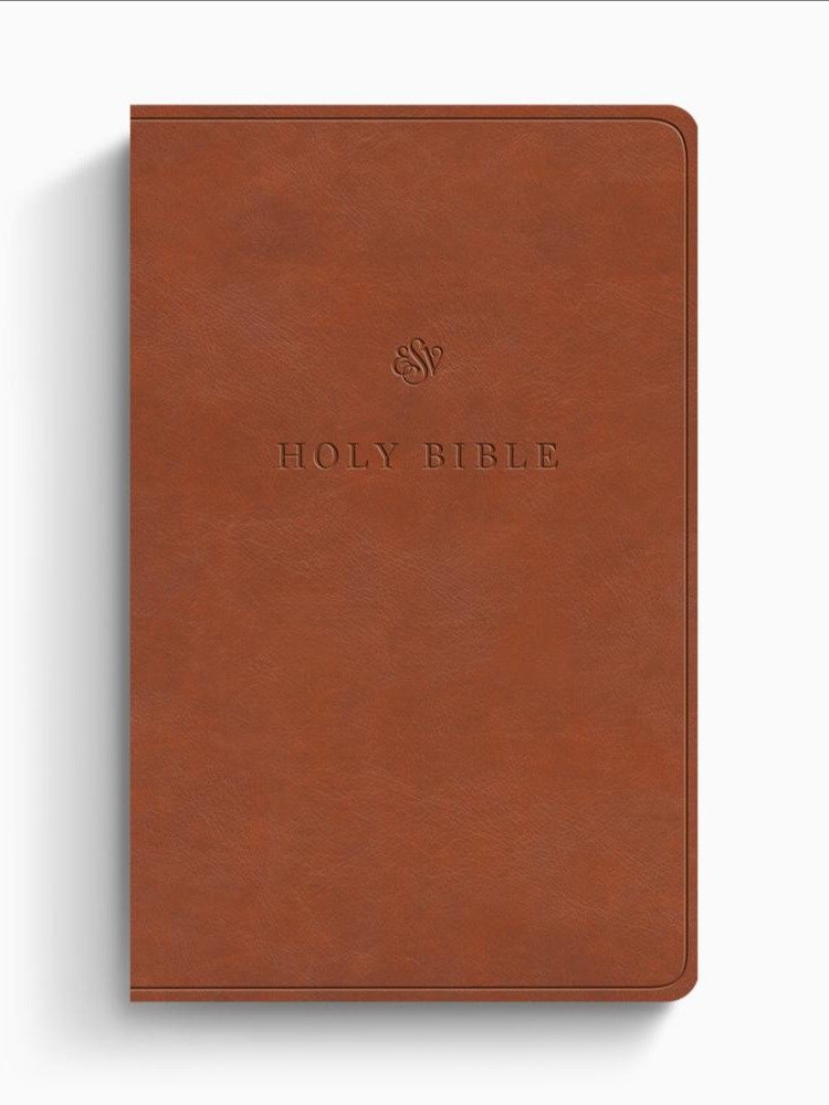 Bible - English Saddle product image (1)