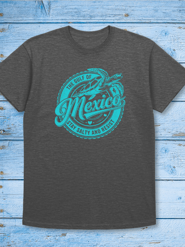 Gulf of Mexico – Stay Salty Tshirt product image (1)