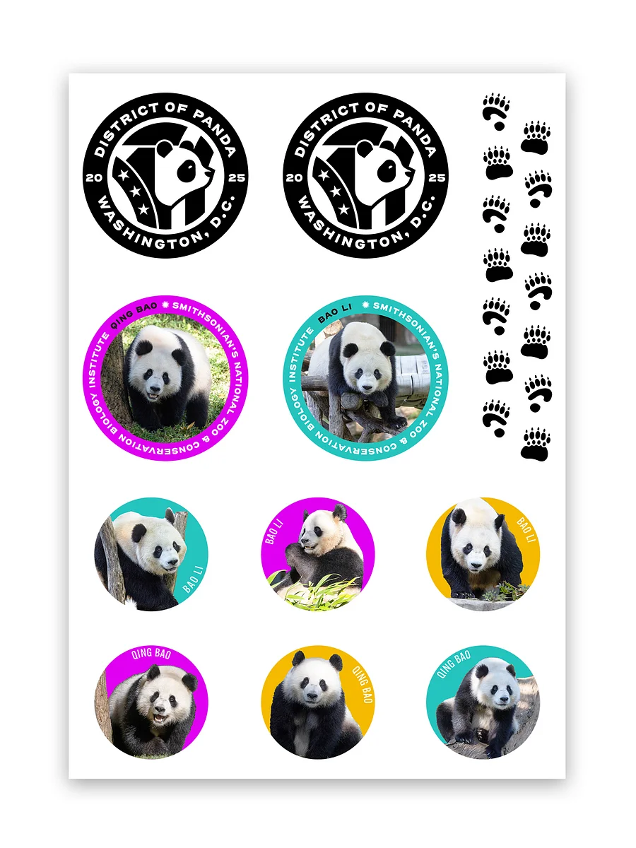 District of Panda Sticker Sheet Image 1