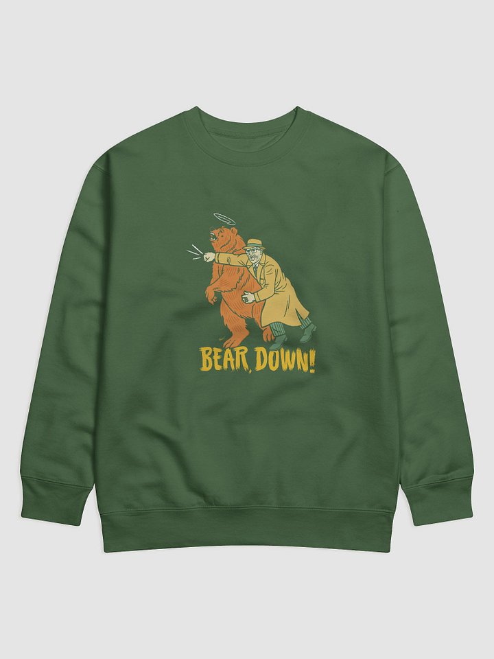 Bear, Down! product image (1)