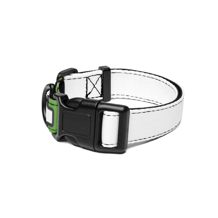 AOFA Pet collar product image (1)