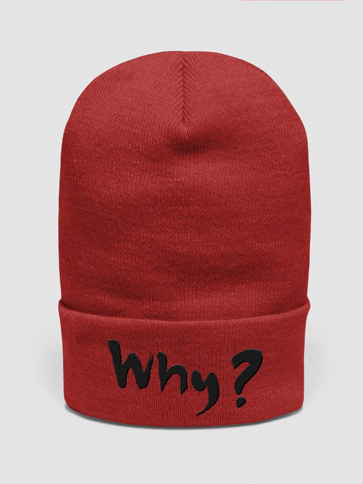 "Why would they do that?" Beenie product image (1)