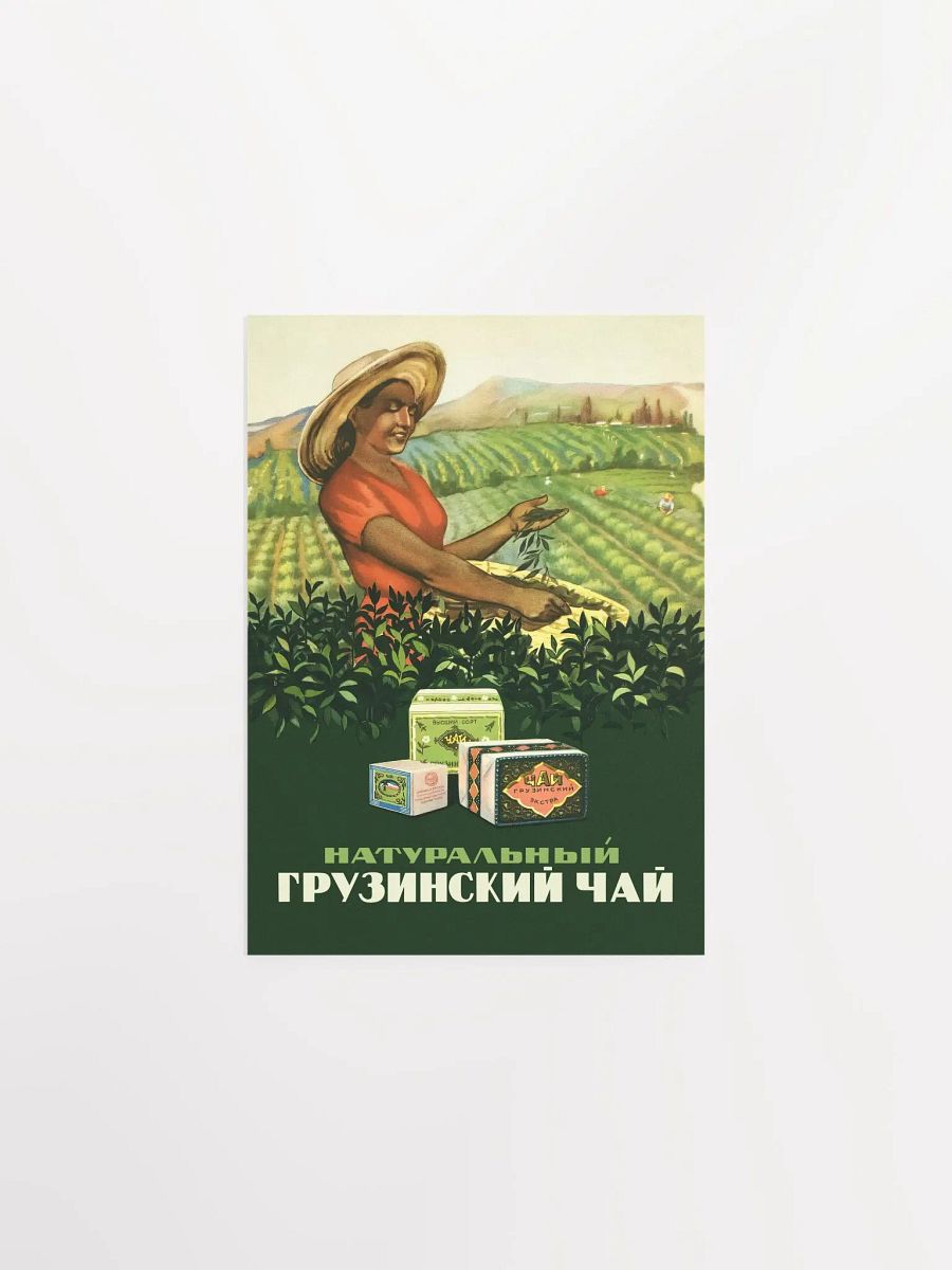 Soviet Georgian tea, USSR/Sakartvelo/საქართველო, 1956 — Soviet vintage tea poster, kitchen prints, vintage tea print, propaganda poster product image (6)