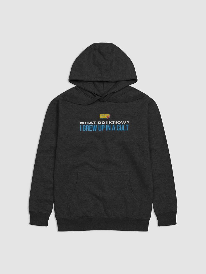 What do I know? Hoodie product image (2)