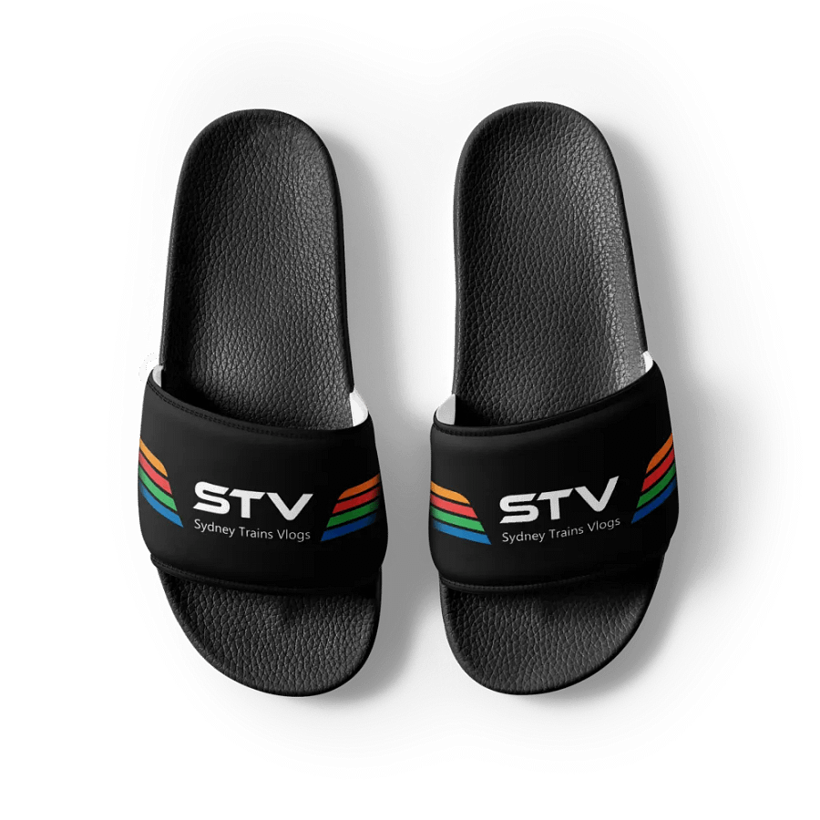 STV Slides product image (7)