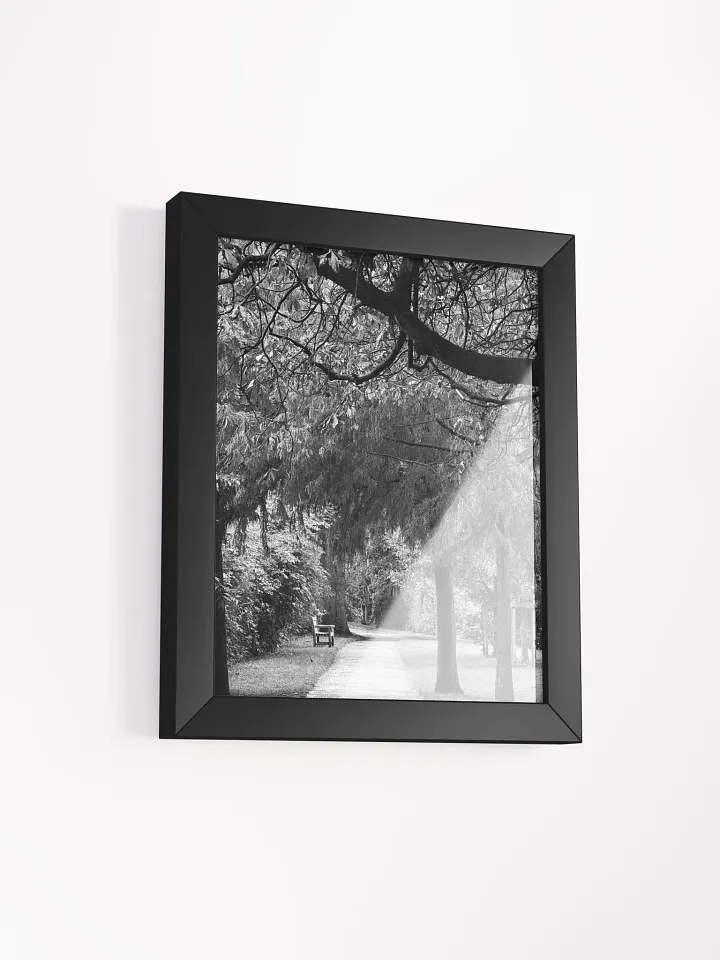 Autumn Walk product image (21)