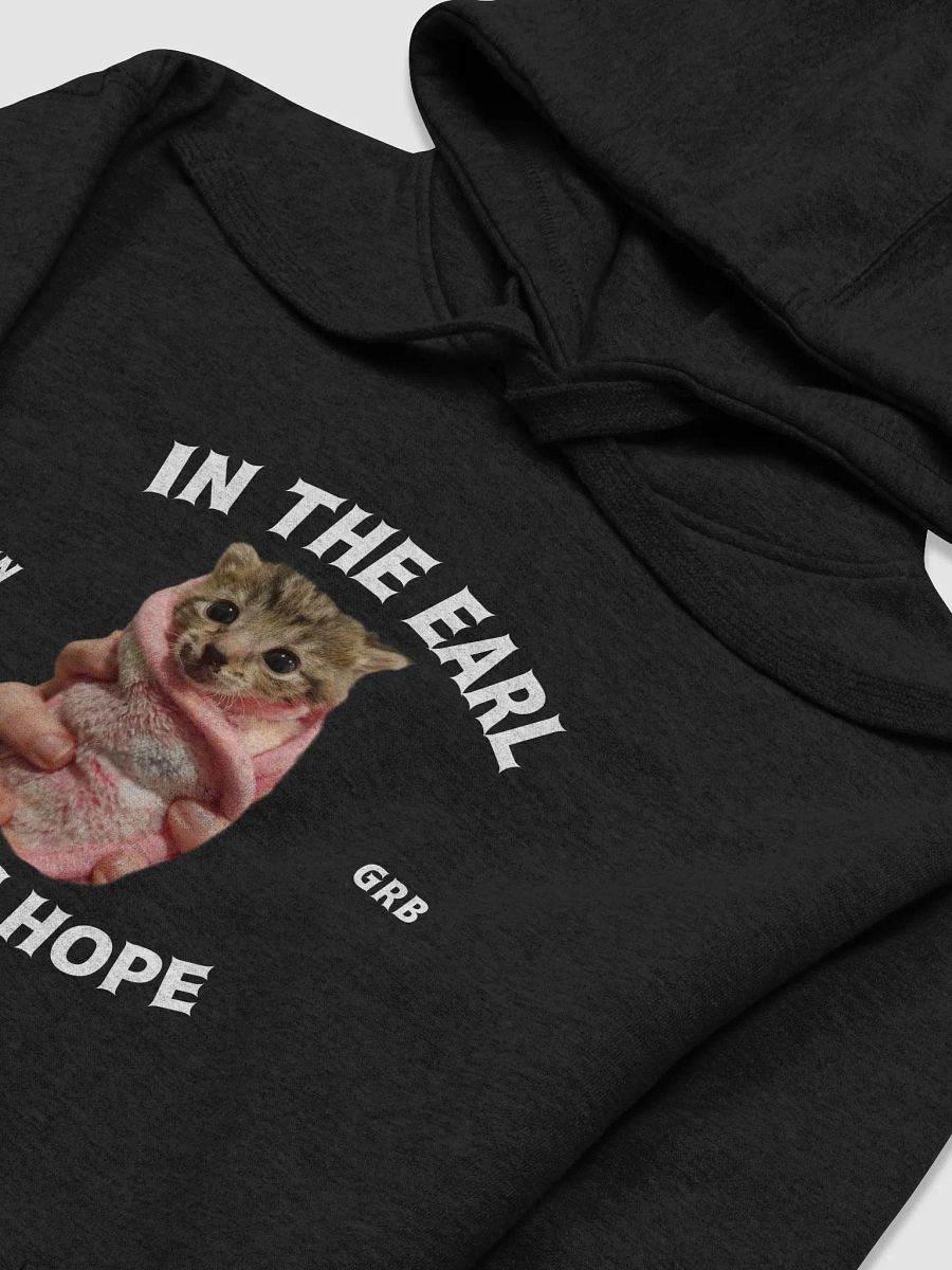 In The Earl There's Hope Unisex Hoodie product image (3)