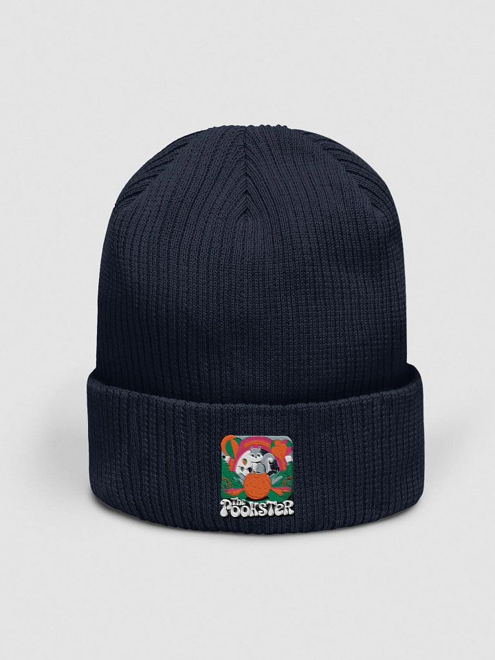 Organic Cotton Embroidered Beanie: Psychedelic Pookster and Mushrooms! VERY 60s/70s Retro Accurate! product image (1)