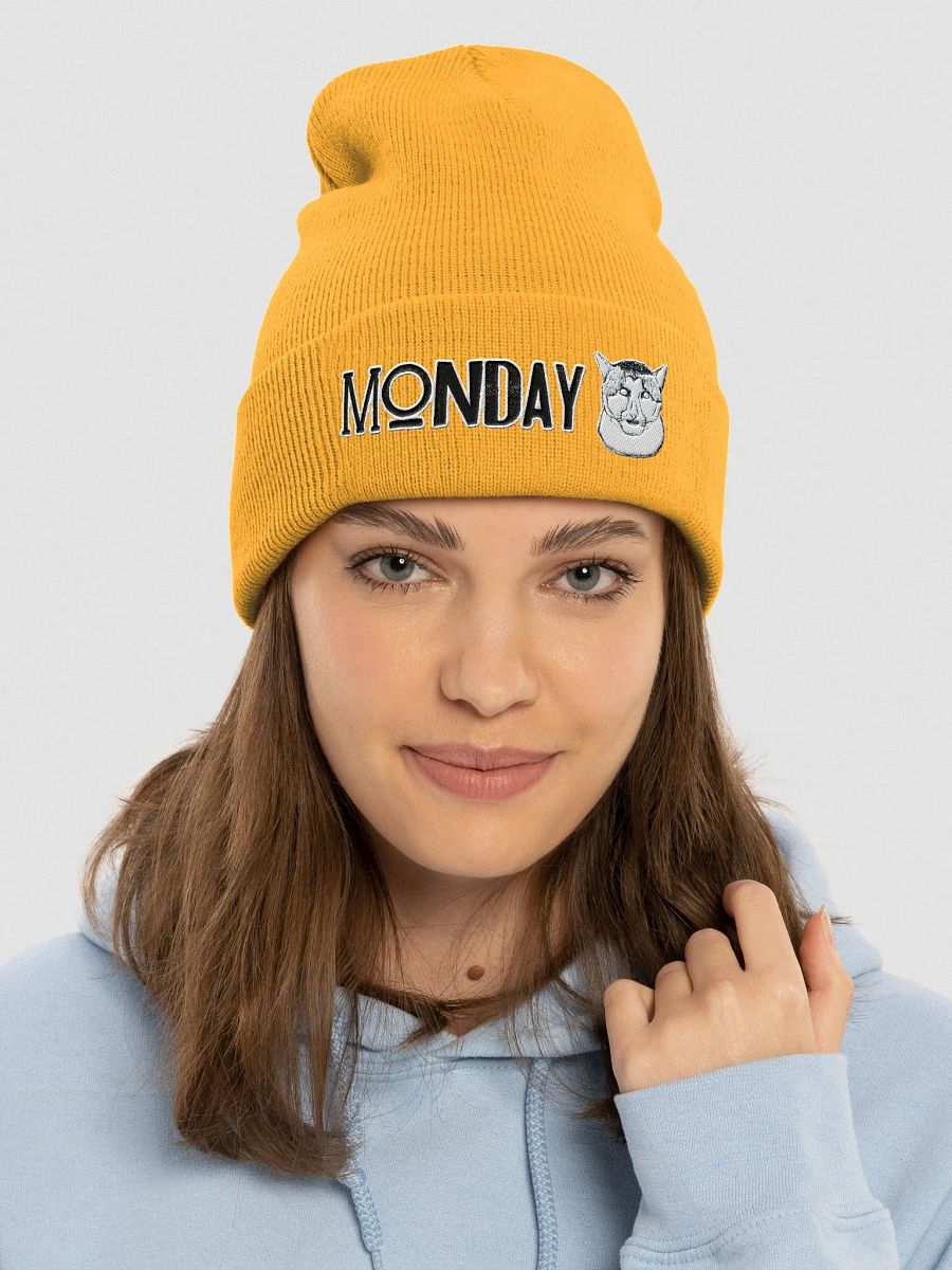 Monday Cat Cuffed Beanie product image (3)