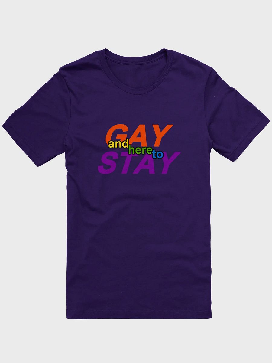 gay and here to stay (rainbow) t-shirt product image (1)