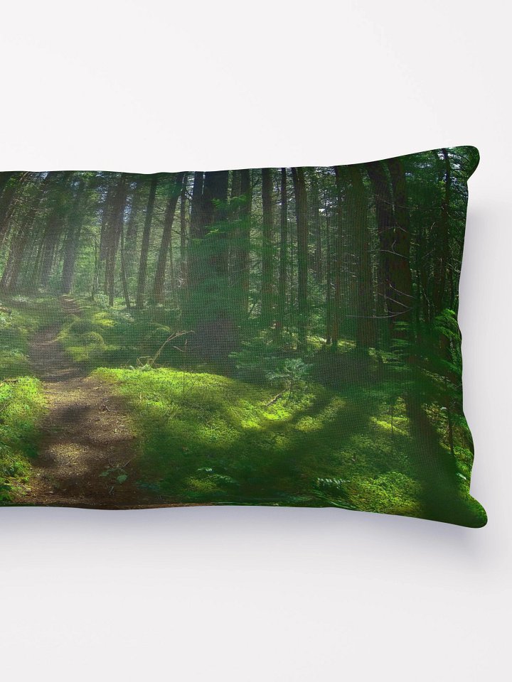 Lower Dungeness Trail Timber sun lighting Pillow product image (4)
