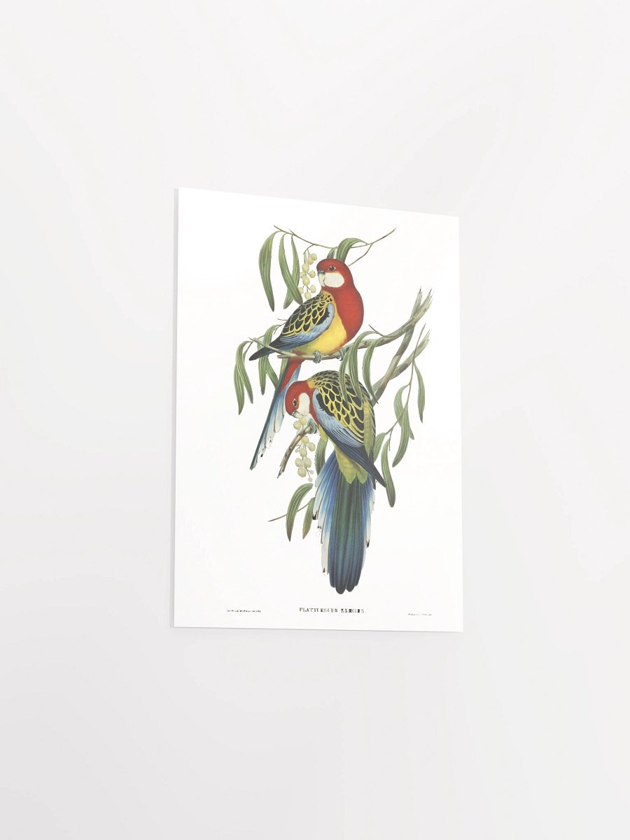 Vibrant Avian Oasis Poster product image (23)