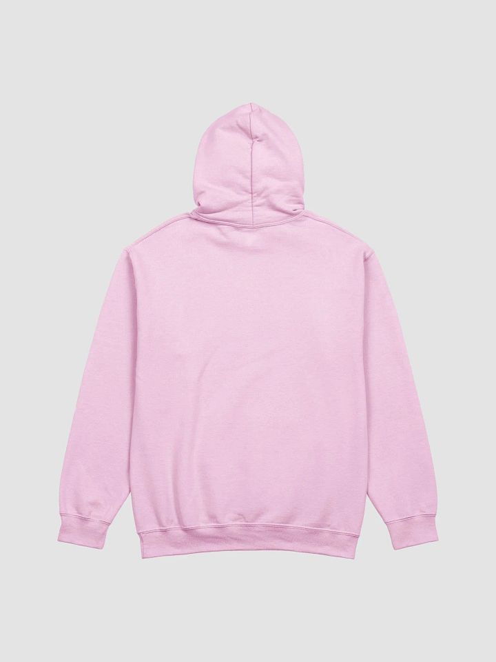 GUILLOVELO TURTLE HOODIE product image (2)