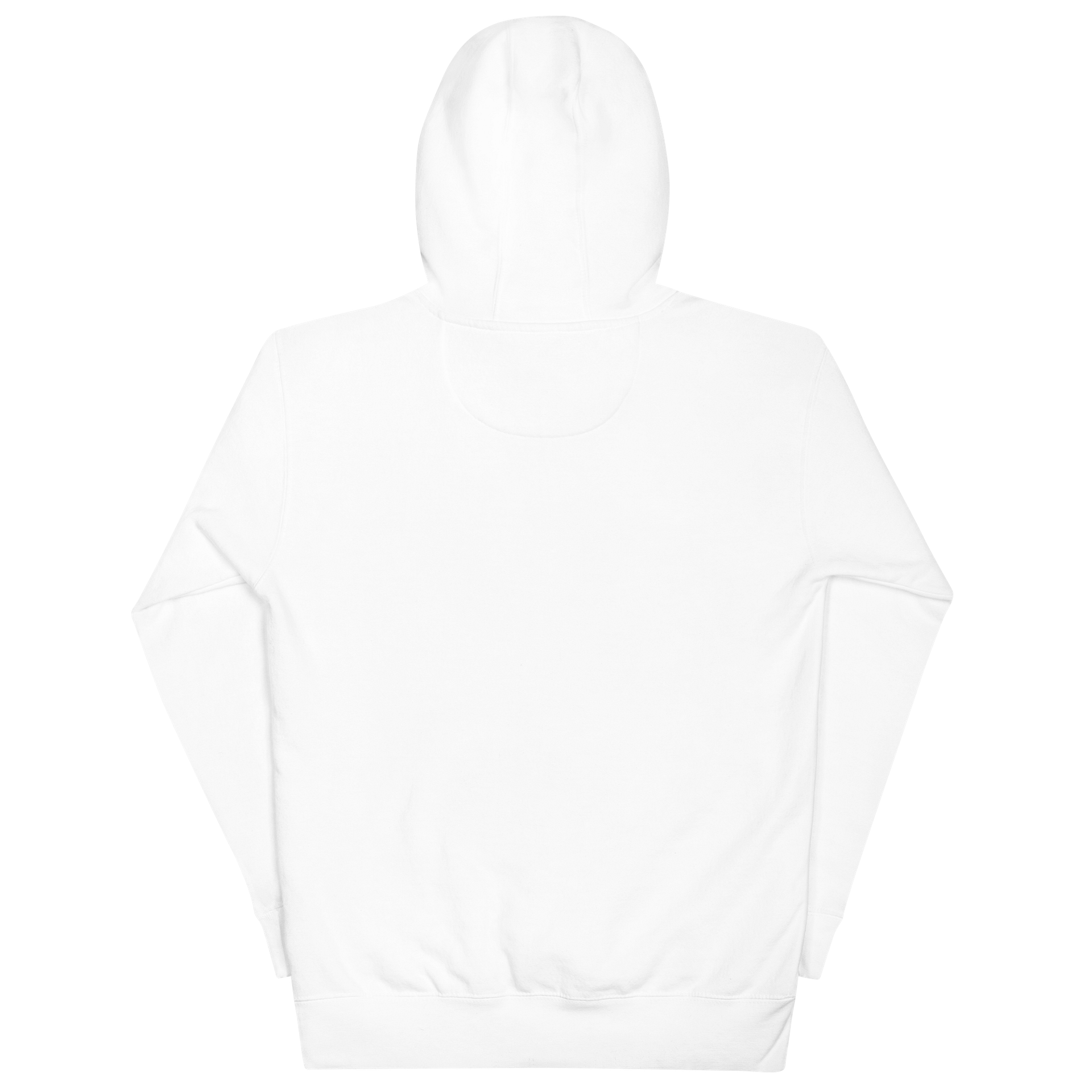 Black History Didn’t Start in the 1960s Hoodie (White) product image (6)
