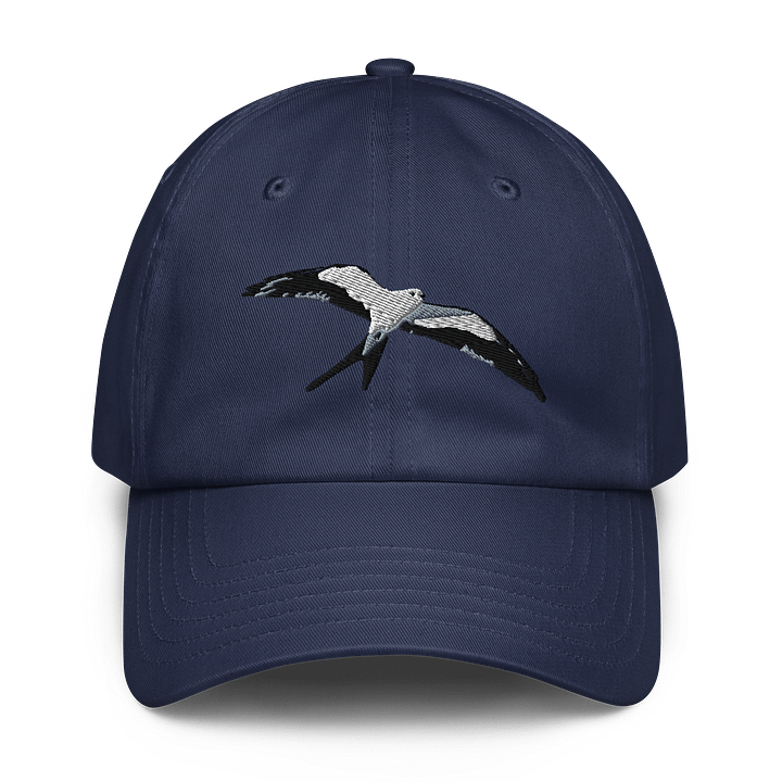 Swallow Tailed Kite Flight of Freedom Embroidered Dad Hat product image (9)