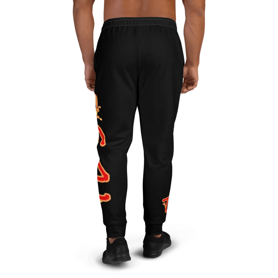 TDS JOGGING SUIT BOTTOMS product image (4)