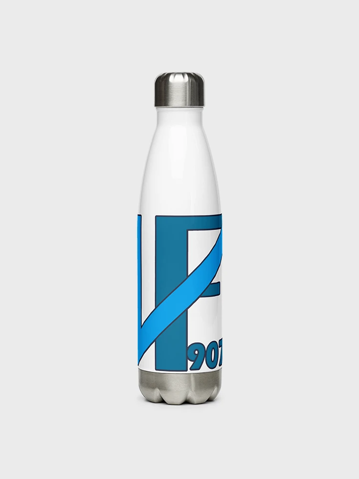 VF907 Stainless Steel Water Bottle product image (1)