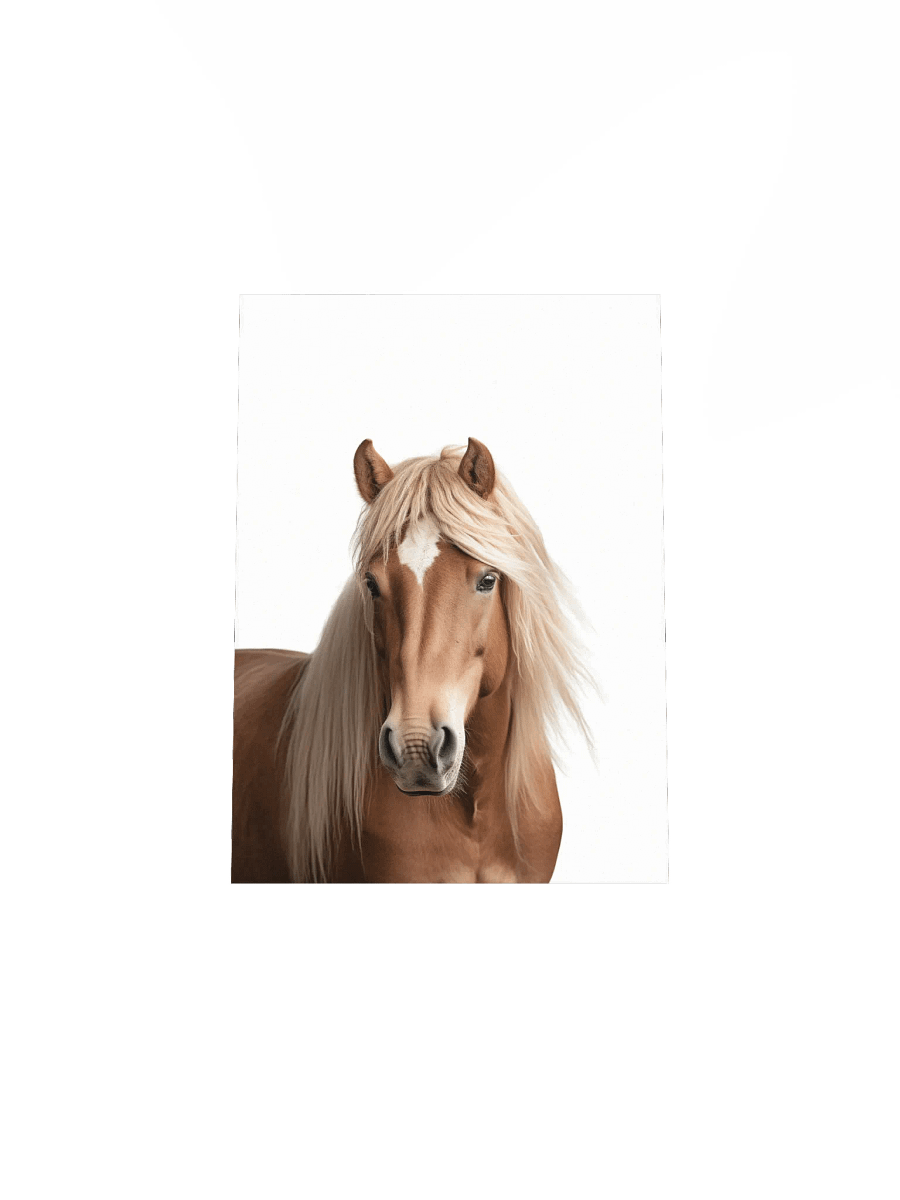 Farm Animal Brown Horse Decor Print product image (27)