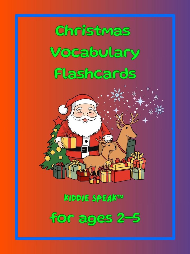 Christmas Vocabulary Flashcards product image (1)