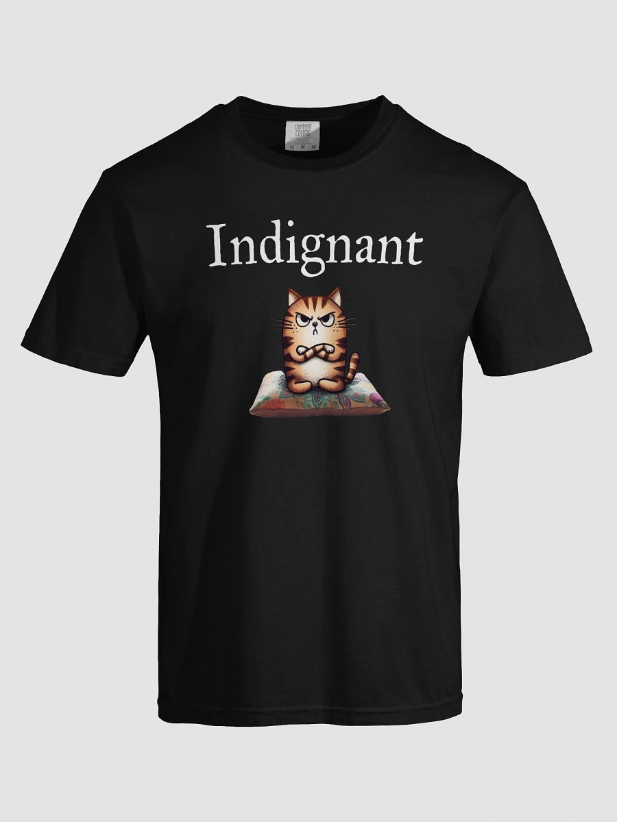 Indignant (Dark/Mens) Tee product image (65)