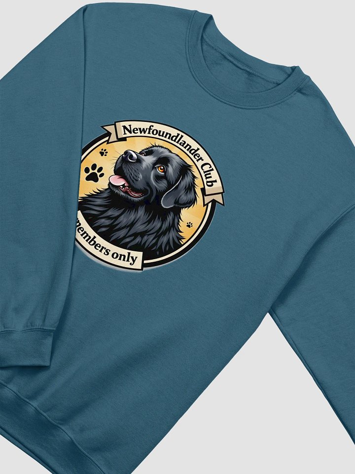 Newfoundlander dog Sweater, no. NF002 product image (2)