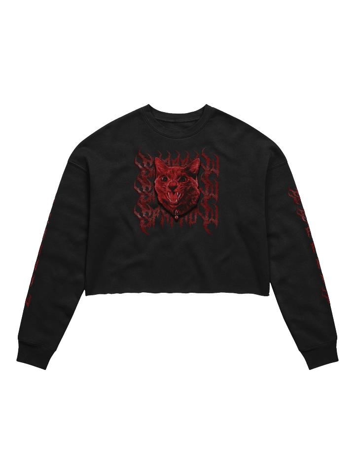 Sparrow Long Sleeve Crop Top product image (1)