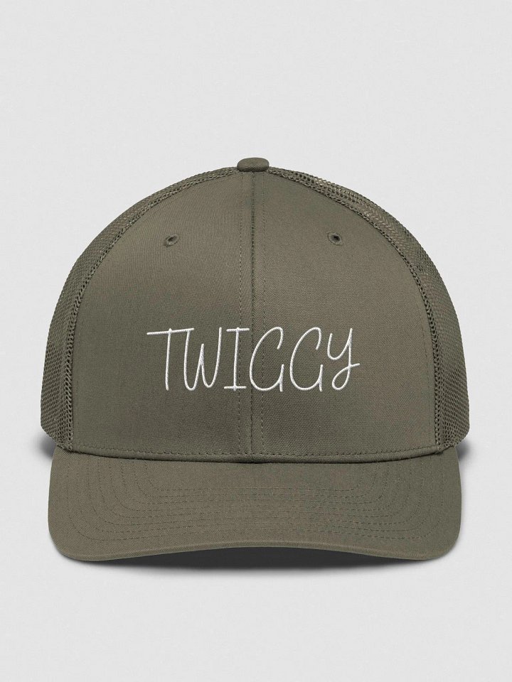TWIGGY Cap product image (1)