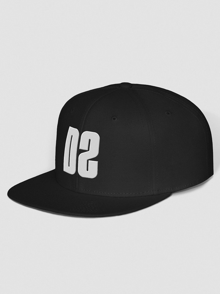 Divergent Souls Logo Snapback product image (2)