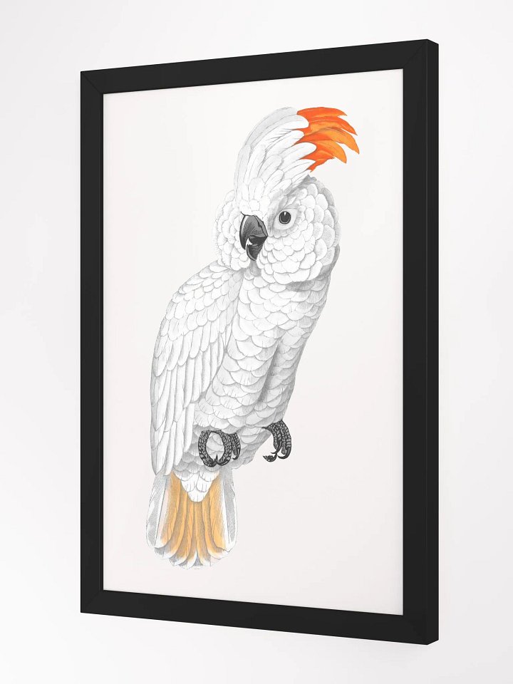 Ecotone Parrot Print Framed Art product image (2)
