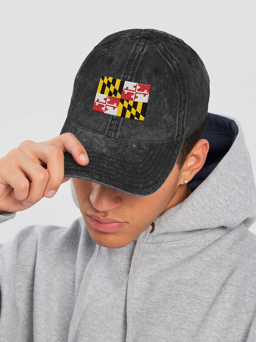 "Maryland" Embroidered Vintage Dad Hat product image (1)