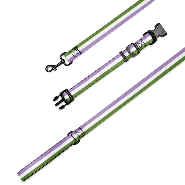 Genderqueer Pride Flag Pet Collar & Leash product image (1)