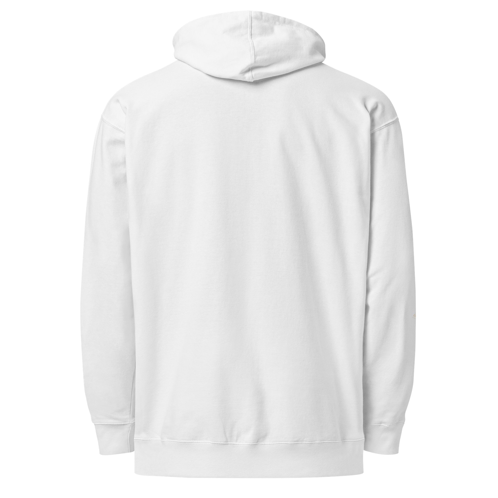 Soully Mine- GOLD PRINT Let Go. And Elevate Hoodie product image (28)