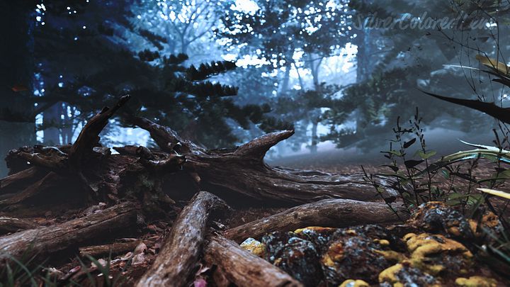Realistic Forest Scene product image (1)
