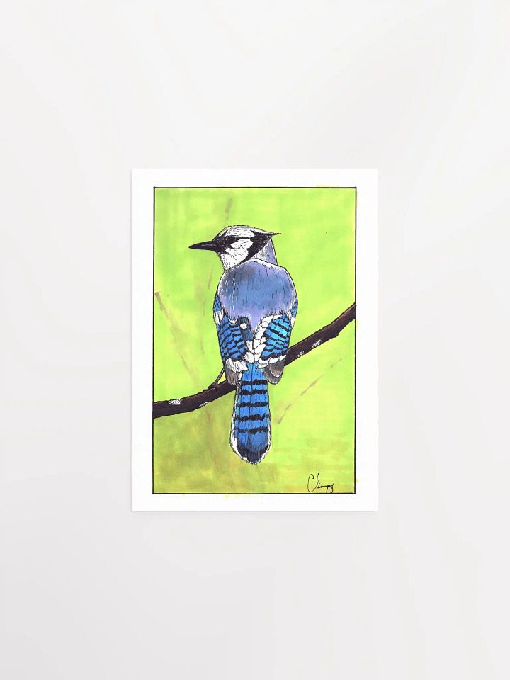 Blue Jay Print product image (1)