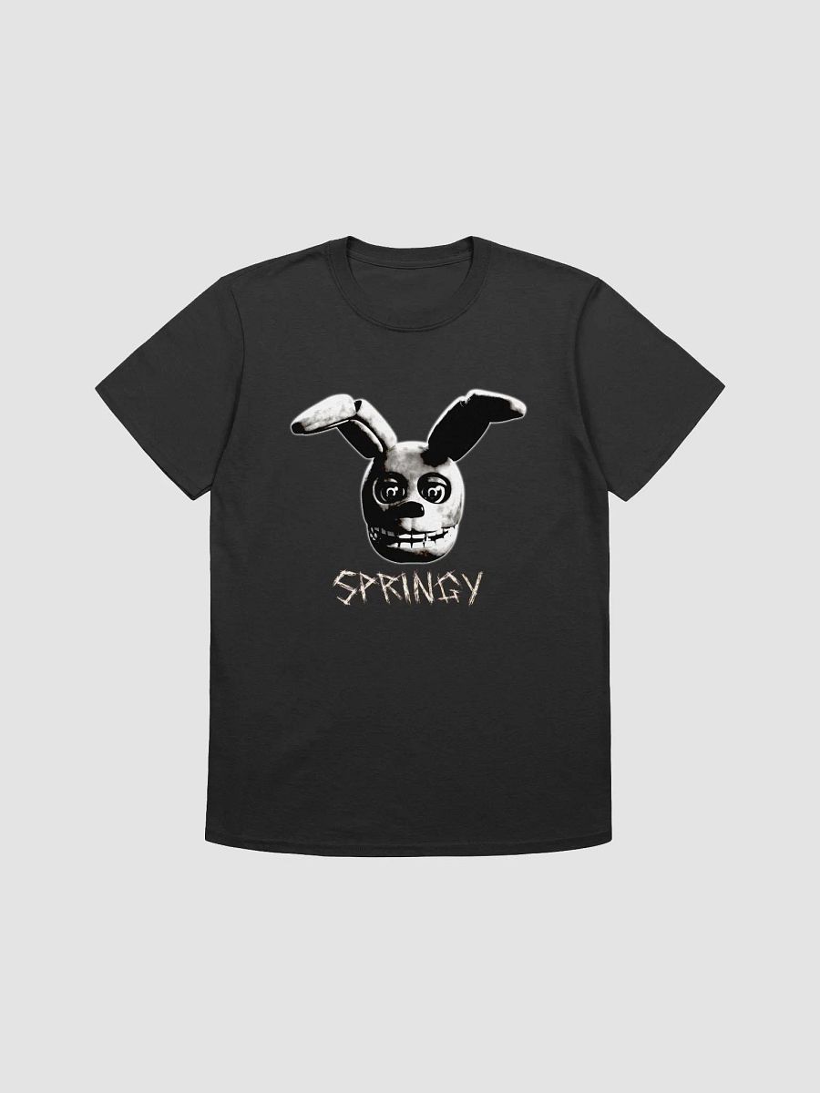 Springy + I always come back T-Shirt! product image (3)