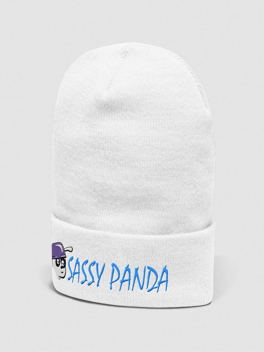 Sassy Panda Beanie product image (3)