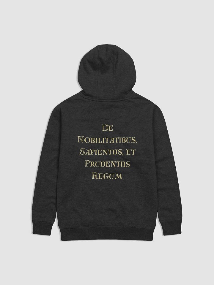 Echoes of Marginalia Hoodie Dark product image (4)