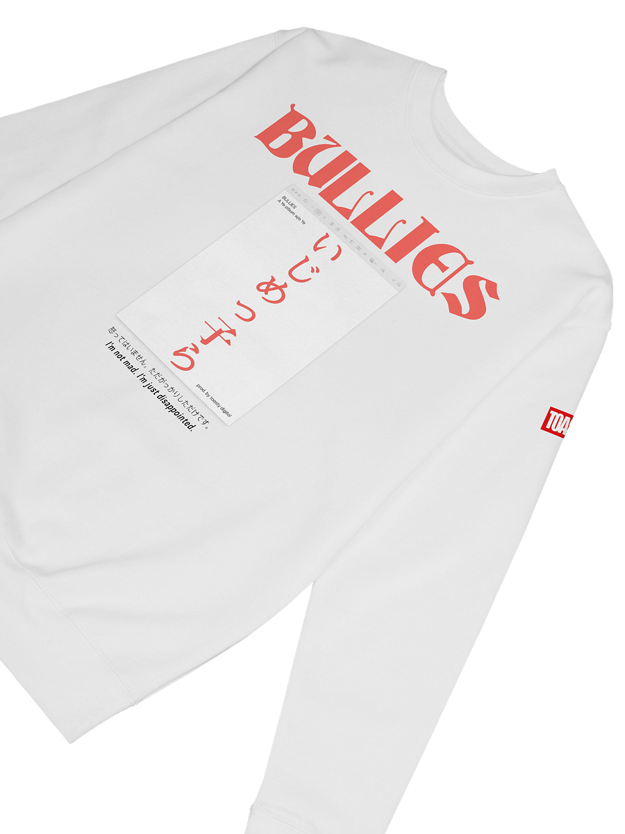 BULLIES WHITE CREWNECK product image (6)